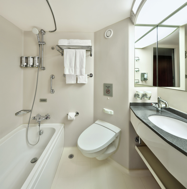 HAL Nieuw Amsterdam Ocean View 2.jpg